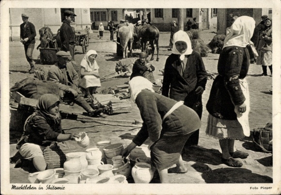 TP Zhytomyr Zhytomyr Ucrania, Vida de mercado