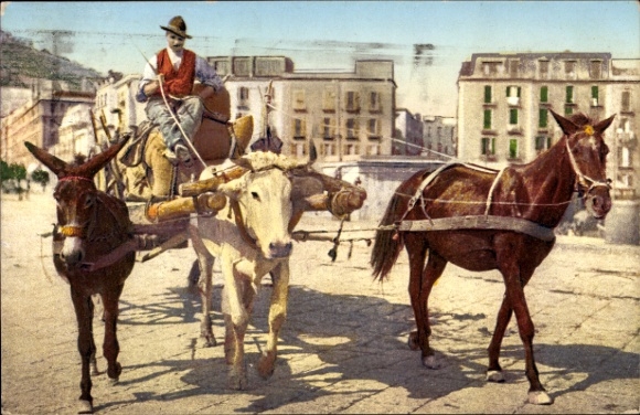 TP Italien, Costumi napoletani, Napoli, carro con burro, buey y caballo