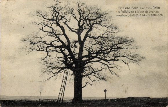 Postal Phlin Meurthe et Moselle, roble alemán