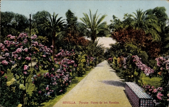 TP Sevilla Andalucía, Rosas en flor, palmeras, camino en el parque, Sevilla